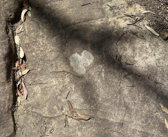 heart
